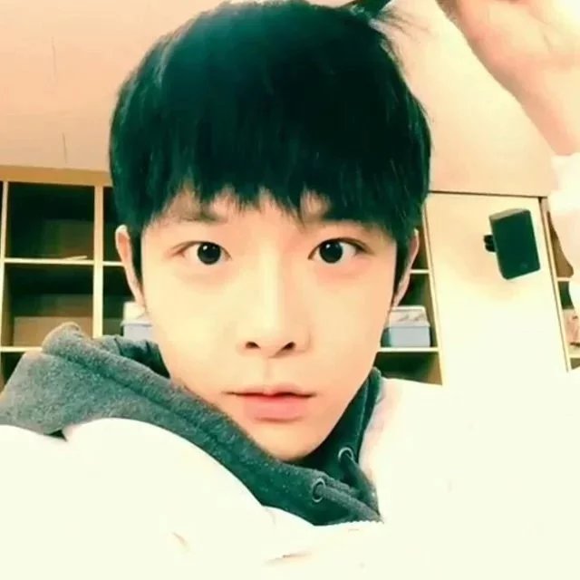 晏树子丹