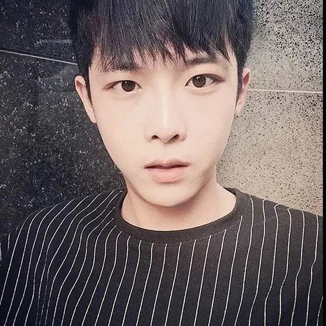陶韵罡嘉