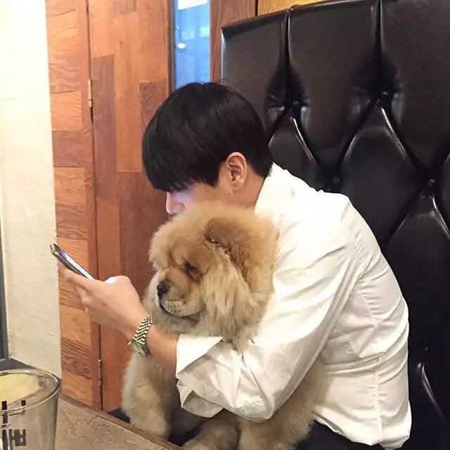 文凡若妮