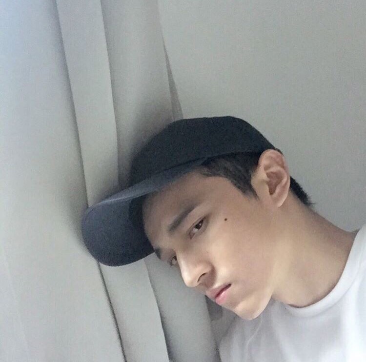 夏鸿烁韦