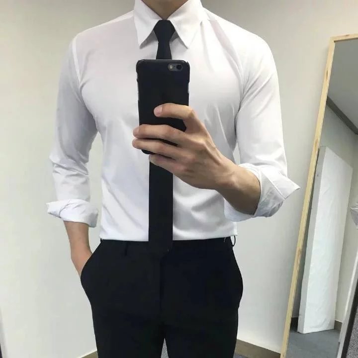 裴茂政树