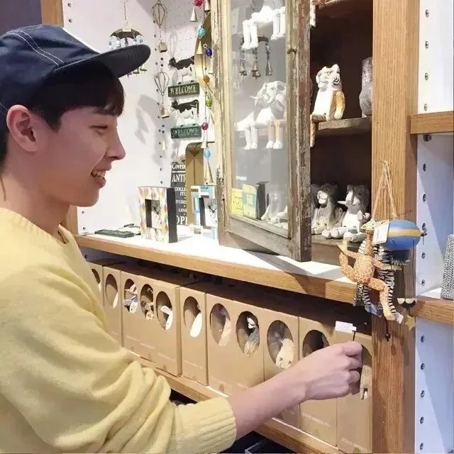 田宜磊树