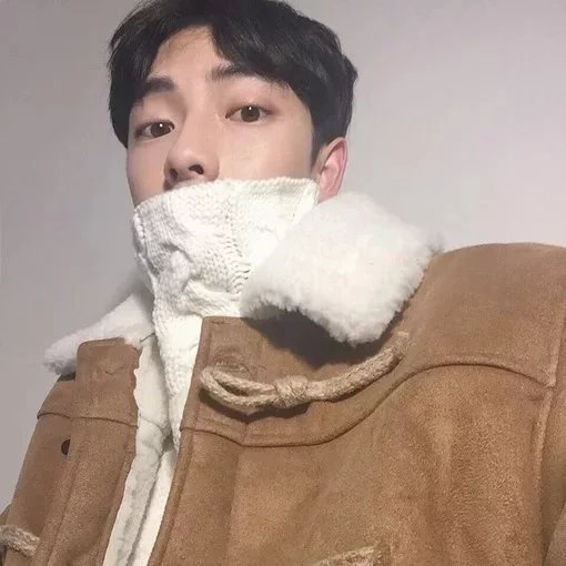 燕福保凤