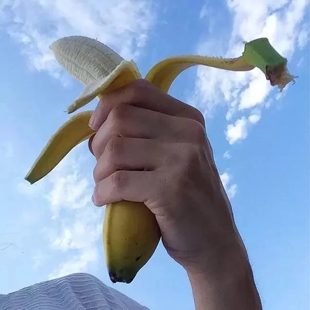 卢志厚姬