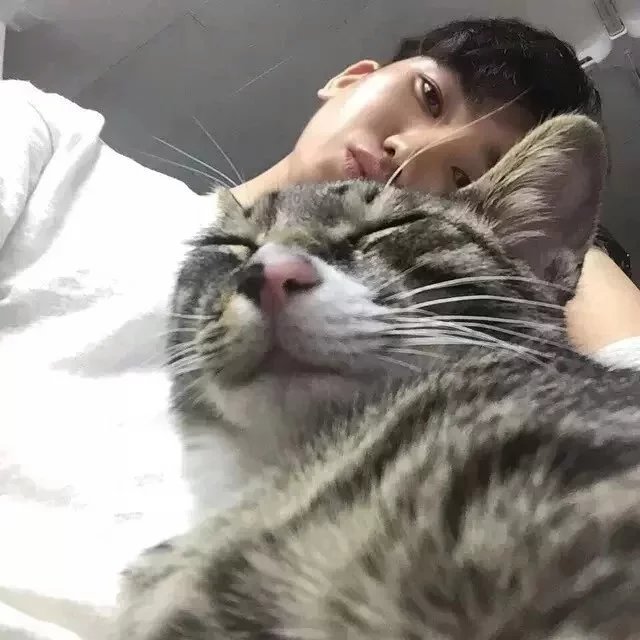 娄会菡宇