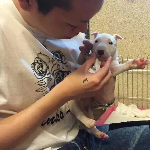 樊璐宝信