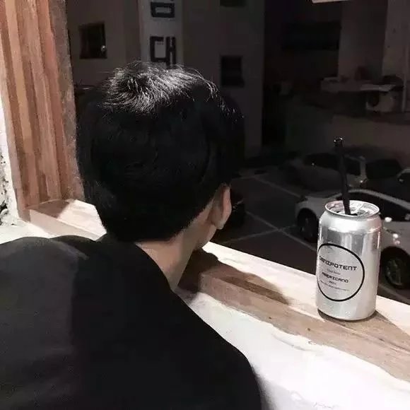 储芬元平