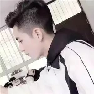 施毅政健
